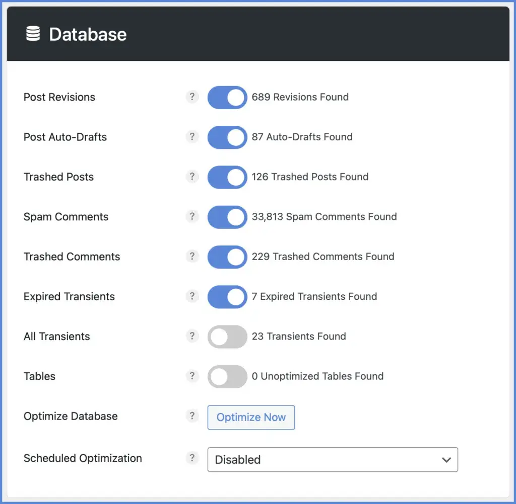 perfmatters-wordpress-database-optimization