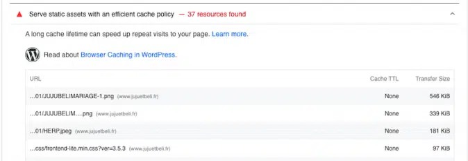 Serve-static-assets-with-an-efficient-cache-policy-diagnostic-Source-PSI