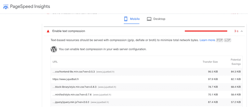 Opportunities-section-Lighthouse-report-listing-all-textbased